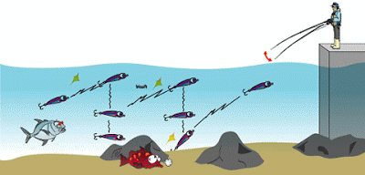  Olahraga memancing  merupakan olahraga yang menyenangkan Review Mancing Dipinggir laut